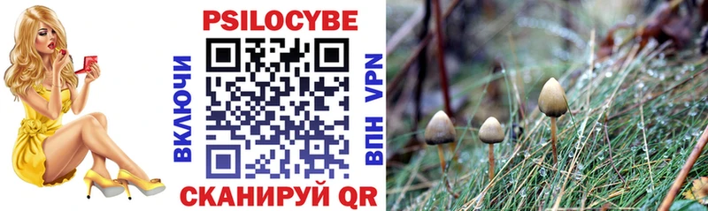 Псилоцибиновые грибы Cubensis  купить закладку  omg как зайти  Кашин 